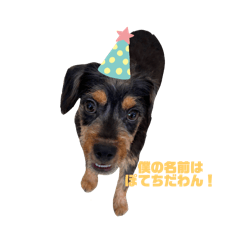 hikari_20250907191405