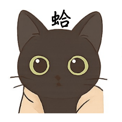 想吸貓的養貓人