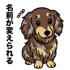 名前入りダックスロングチョコダップル