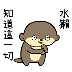 In an Otter Mood Taiwan Version