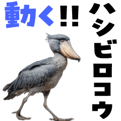 Moving Shoebill Sticker