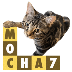 Bengal Cat Mocha Sticker 7