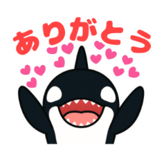 Cute Orca Daily Life
