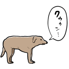 talking Mongolian dog