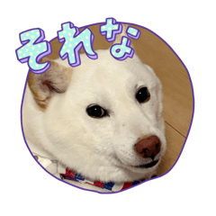 Nanako_20250907215112