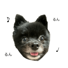 sarana_20250908000018