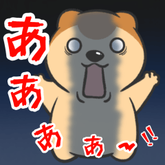 Bear's daily greetings