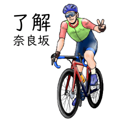 Narasaka's realistic bicycle