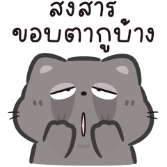 แมวดำ 2 : น่ารัก