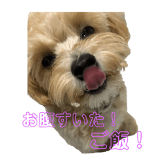 puusyan_20250908212845