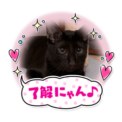 SHIHO_20250908221509