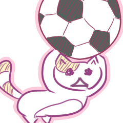 The cat which plays soccer