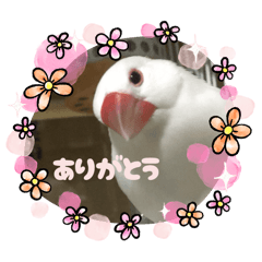 rei_20250909001527