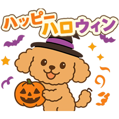 ハロウィン・誕生日　トイプードル【秋】犬