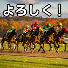 Autumn horse racing