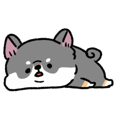 とけてる犬の柴犬(黒)