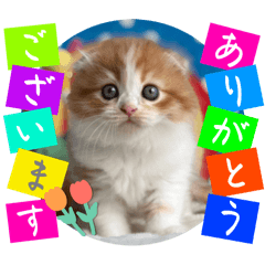 Shigeyuki koketsu_20250908200200