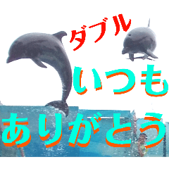 HAMAJIRO_20250908203901