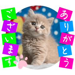 Shigeyuki koketsu_20250908224158