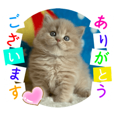 Shigeyuki koketsu_20250908233345