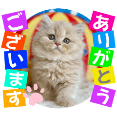 Shigeyuki koketsu_20250909000221