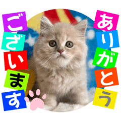 Shigeyuki koketsu_20250909002746