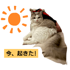 honobono_20250909113104