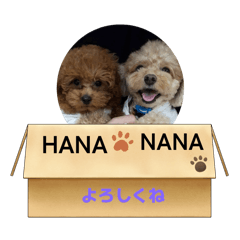 SAKURA_20250909113846