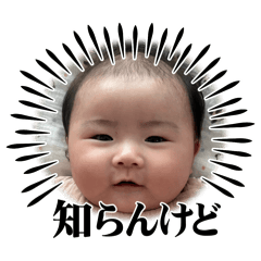 WAKANA_20250909135722