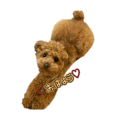kiki_20250909154637