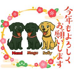 namimegu_20250909170208