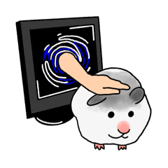 頭頂灰灰的小北疼