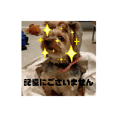 kotomi_20250909145632