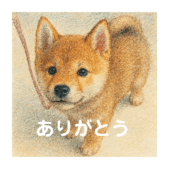 sakura_20250909171208