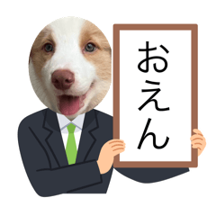 sherry_20250909171718