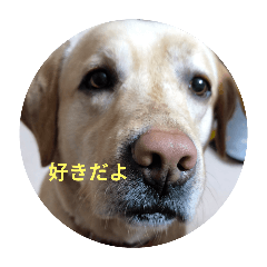 Makoto_20250909185612