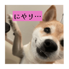 yuka_20250909191240