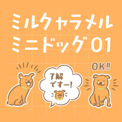 Caramel colored dogs1