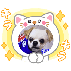 Hinata_20250909182631