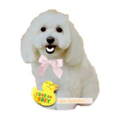 yurina_20250909192236