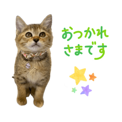 ありさスタンプver2.1