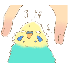 Kazuki_20250909230518