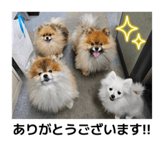 Chi.n.k_20250910063111