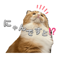 Suzu_20250909235355