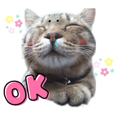 Asuka_20250909235435