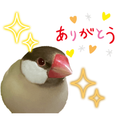 HALKA_20250909203523