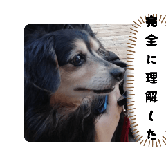 mask_20250910015127