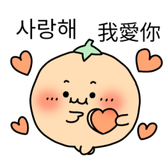 귤 (한국어/대만어)