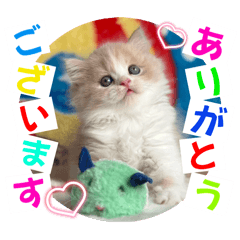 Shigeyuki koketsu_20250908210112