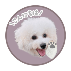 yunomama_20250910081910